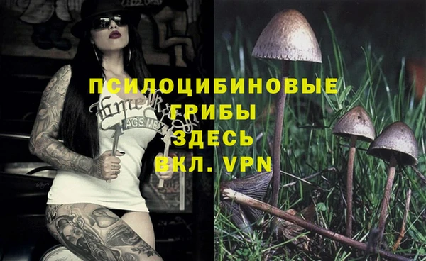 ешки Абаза