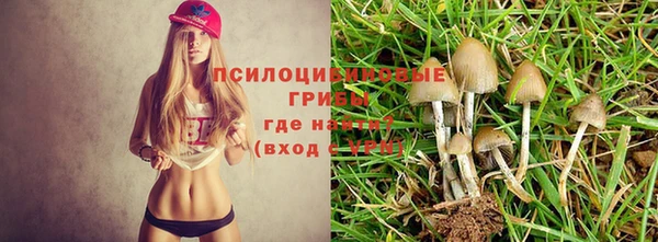 гидра Абдулино