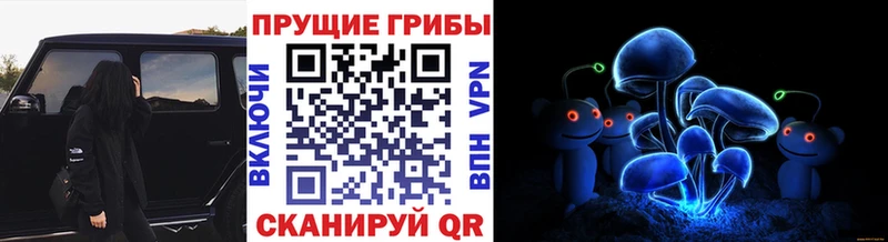 Псилоцибиновые грибы GOLDEN TEACHER  Каменногорск 